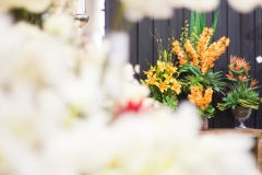 170805_ABCasaFair2017_Efeito_0029